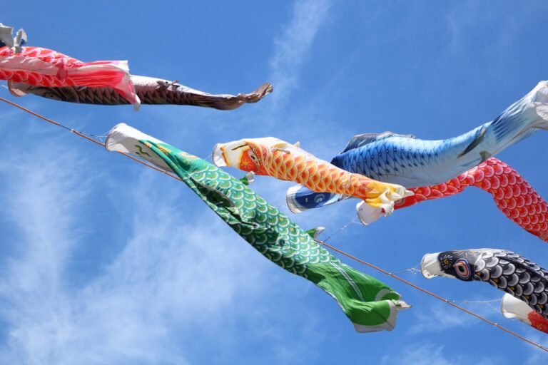 端午の節句って？男の子だけなのはなぜ？