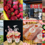 いちご日和り