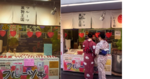 フルーツ 果物王国