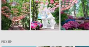 ノルディックス