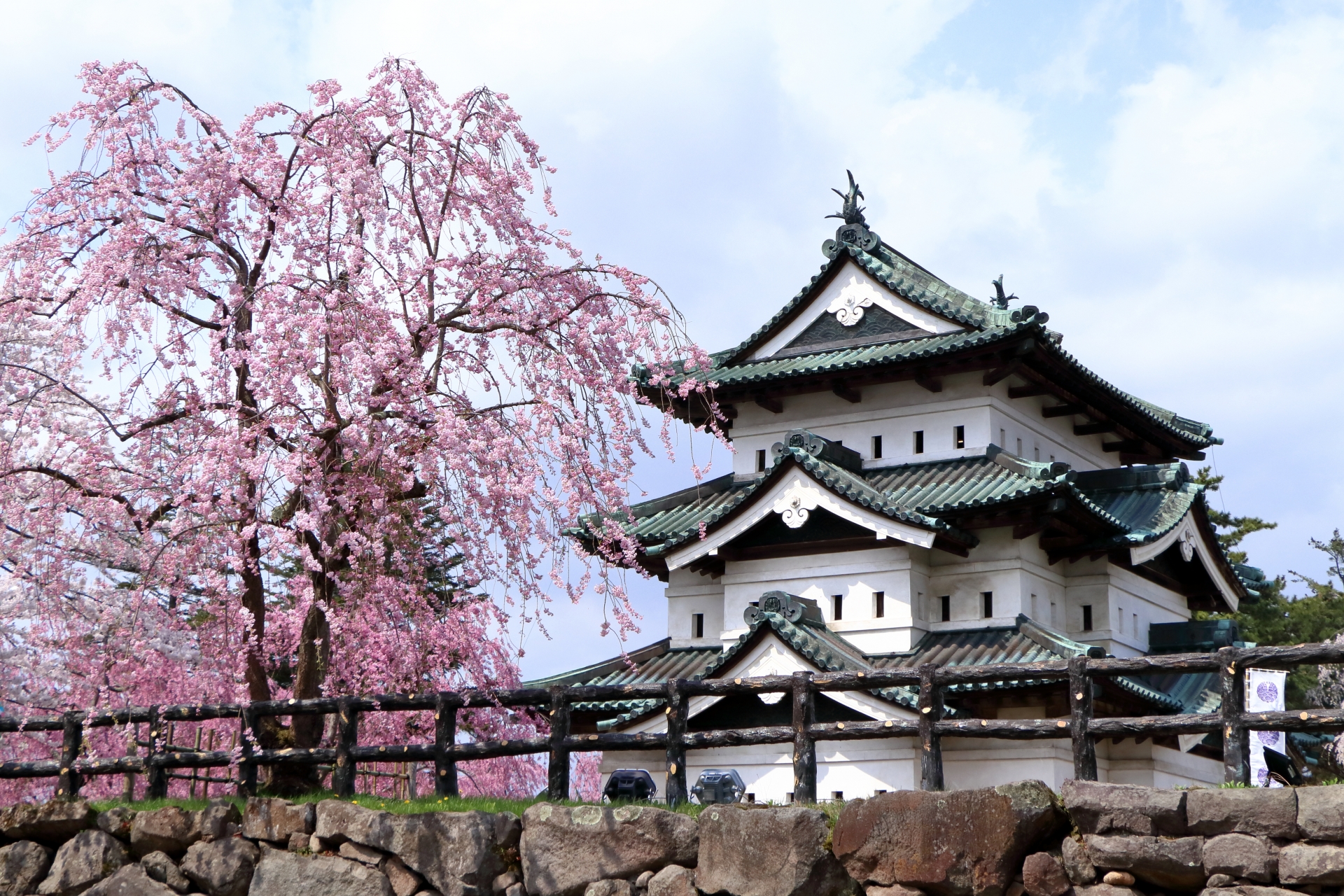 弘前城と桜