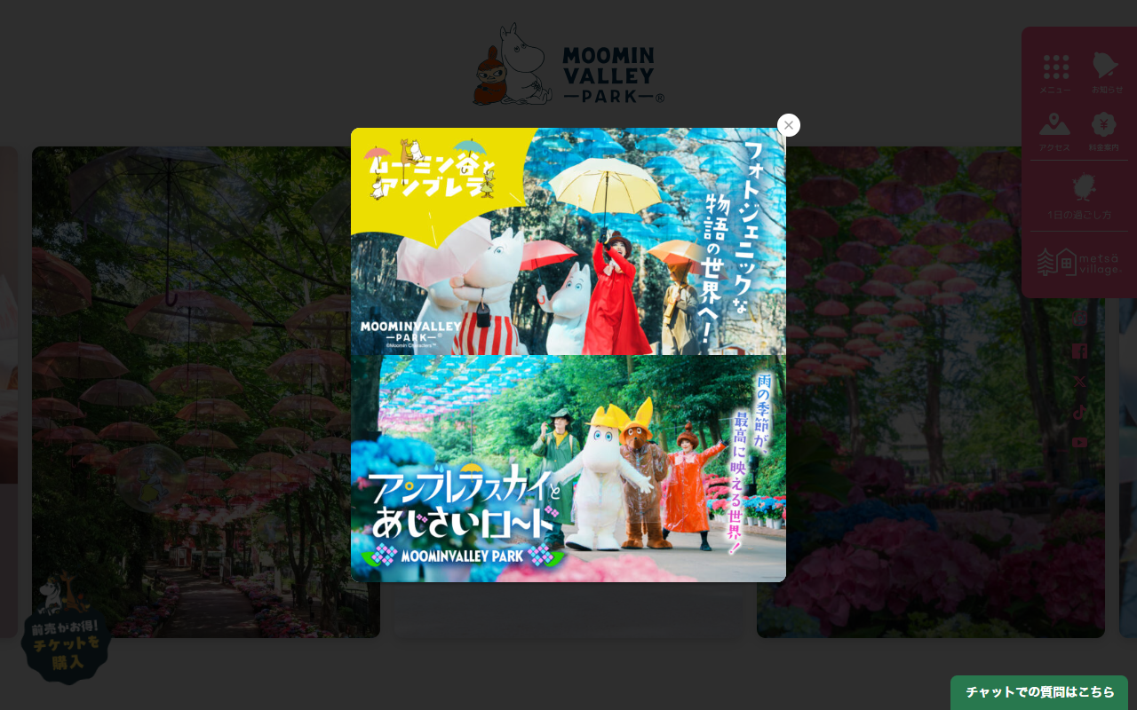 ノルディックス