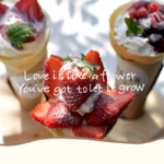 crepe de SAPIN（クレープ ド サパン）