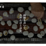 ぢゃんぼ餅 平田屋