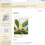 ルポムのおかし