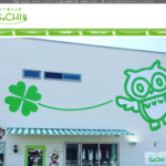 SaCHI