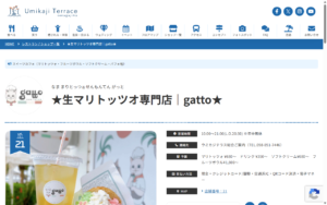 gatto