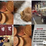 京都鶏卵堂