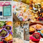 スコーン専門店ここまーる