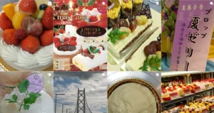 プロップ 東加古川店
