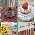 レリッシュ プレイン