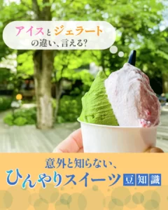 アイス・シャーベット・スムージー…意外と知らない「ひんやりスイーツ＆ドリンク」の違いを徹底解説！