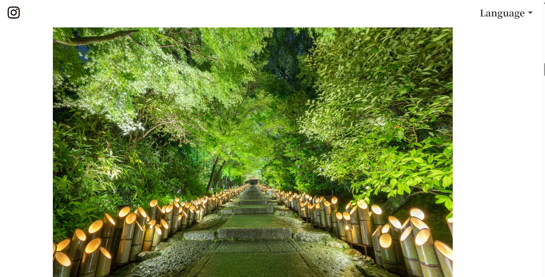 ライトアップされたねねの道
