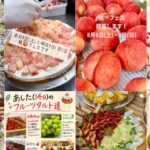 サロン ド シュークル