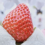浅草そらつき 本店