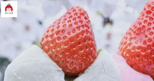 浅草そらつき 本店