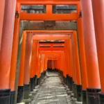 京都の和菓子を旅する｜おすすめ4選