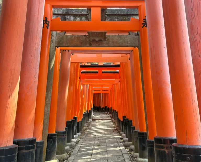 京都の和菓子を旅する｜おすすめ4選