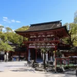 福岡のお取り寄せしたいスイーツトップ5
