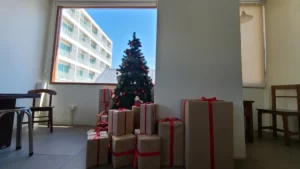クリスマスケーキの予約はいつから？購入時期と注意点
